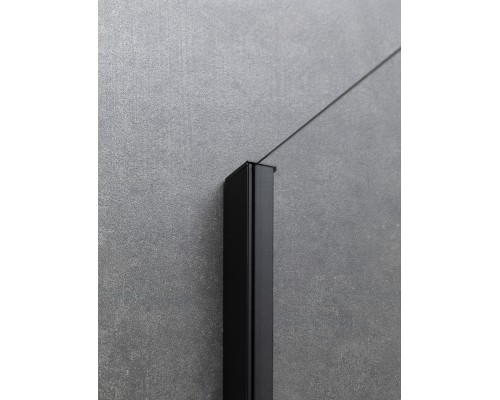 Душевая дверь Allen Brau Priority 120 3.31033.BBA профиль Черный браш стекло прозрачное