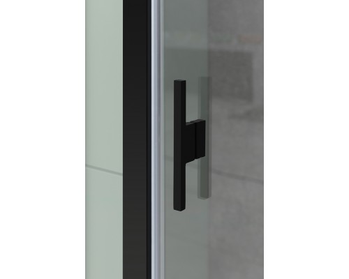 Душевая дверь Allen Brau Priority 120 3.31033.BBA профиль Черный браш стекло прозрачное