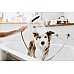 Ручной душ Hansgrohe DogShower 26640670 для собак Черный