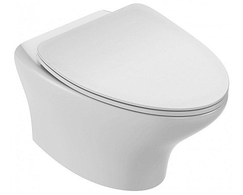 Подвесной унитаз Jacob Delafon без обода (54 х 39 см) EDJ10200