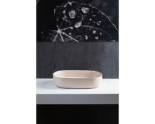 Раковина-чаша Allen Brau Fantasy 55 4.11022.IV Айвори