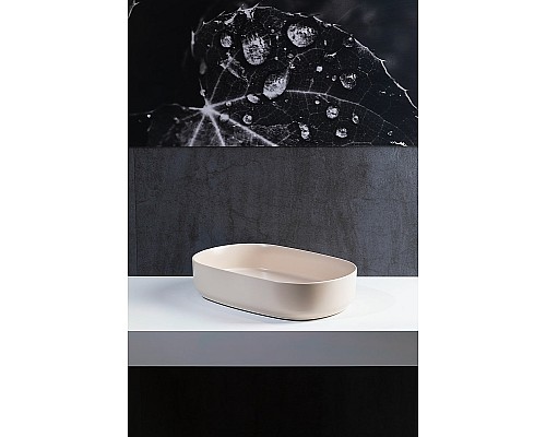 Раковина-чаша Allen Brau Fantasy 55 4.11022.IV Айвори