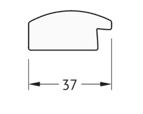 Зеркало Evoform Definite 100х50 BY 0699 в багетной раме - Красная бронза 37 мм