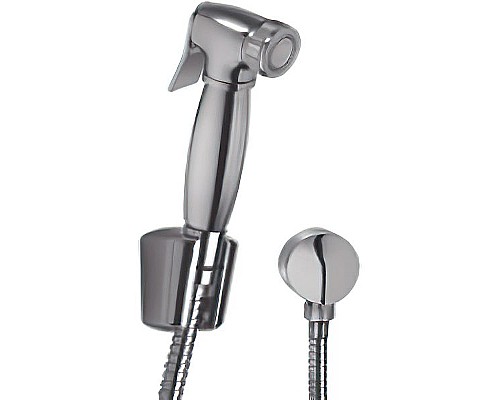 Гигиенический душ Paini Aria 53CR174KIT Хром