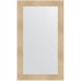 Зеркало Evoform Definite 120х70 BY 3213 в багетной раме - Золотые дюны 90 мм
