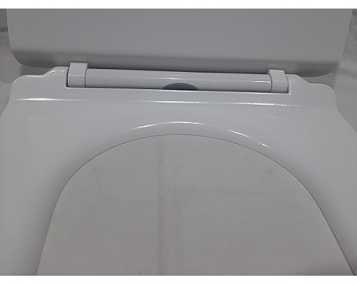 Унитаз CeramaLux 217D приставной с сиденьем Микролифт