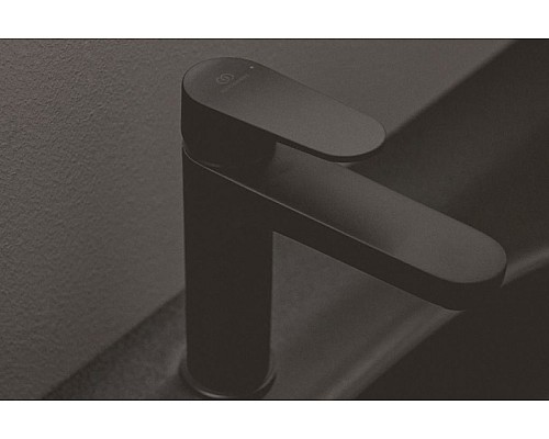 Смеситель для раковины Ideal Standard Cerafine O BC554XG Черный