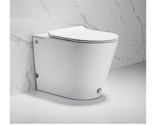 Унитаз напольный Cerutti SPA ARGENTERA Pulse с микролифтом