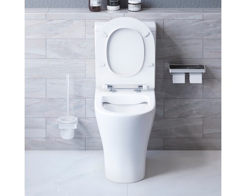 Унитаз компакт Damixa Sirius DX86C8600SC с бачком и сиденьем Микролифт