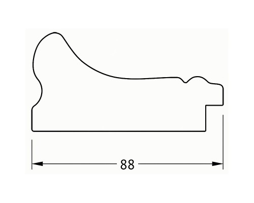 Зеркало Evoform Exclusive Floor 201х111 BY 6160 с фацетом в багетной раме - Хамелеон 88 мм