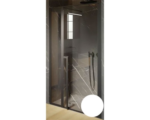 Душевая дверь Riho Lucid GD104 120х10 G005005122 (GD112W000) Белый