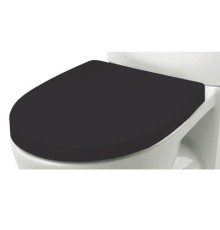 Крышка-сиденье Roca Victoria Nord Black Edition ZRU9302627