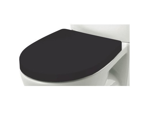 Крышка-сиденье Roca Victoria Nord Black Edition ZRU9302627