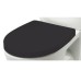 Крышка-сиденье Roca Victoria Nord Black Edition ZRU9302627