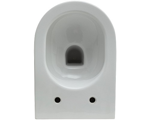 Унитаз Allen Brau Reality 4.32006.20 подвесной Белый без сиденья