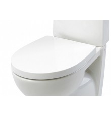 Крышка-сиденье Roca Victoria Nord ZRU9000023