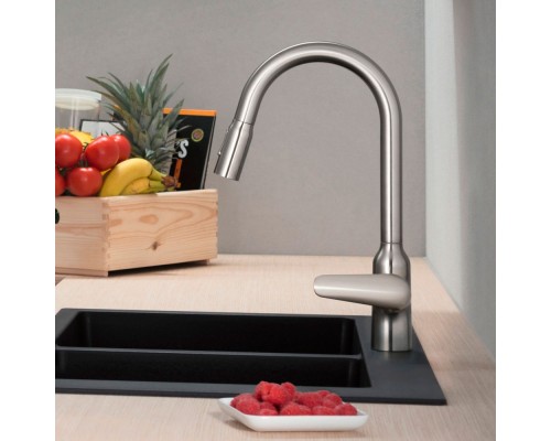 Смеситель для кухни Hansgrohe Focus M429-H220 Сталь