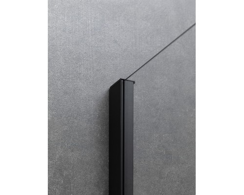 Душевая дверь Allen Brau Priority 100 3.31006.BBA Черный брашированный