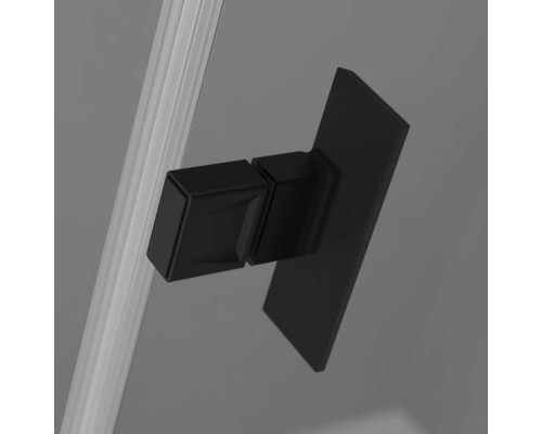 Душевая дверь NES Black DWJ II 110 Right
