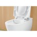 Унитаз биде Villeroy&Boch ViClean-L подвесной с сиденьем Микролифт