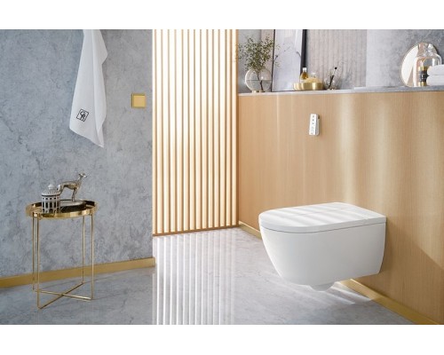 Унитаз биде Villeroy&Boch ViClean-L подвесной с сиденьем Микролифт
