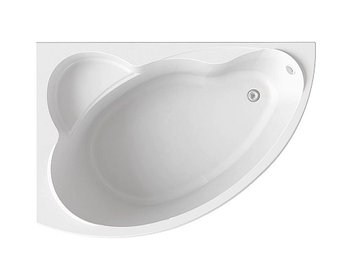 Акриловая ванна Bas Лагуна 170x110 L В 00019 без гидромассажа