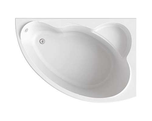 Акриловая ванна Bas Лагуна 170x110 R В 00020 без гидромассажа