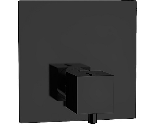 Смеситель для душа Remer Qubica Thermo QT30KBNO с термостатом Черный матовый
