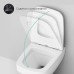Унитаз AM.PM Inspire V2.0 FlashClean подвесной с гигиеническим душем и ершиком с сиденьем Микролифт