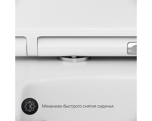 Унитаз AM.PM Inspire V2.0 FlashClean подвесной с гигиеническим душем и ершиком с сиденьем Микролифт