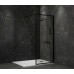 Душевая перегородка Paini 110 PAINI-WalkIN110F профиль Черный матовый стекло прозрачное