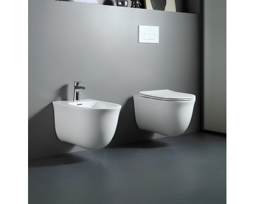 Унитаз Aquatek Классик AQ1112-00 подвесной с сиденьем Микролифт