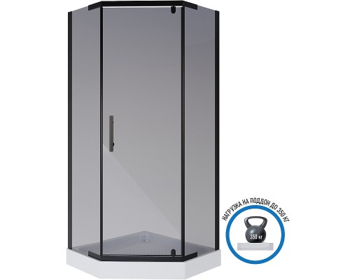 Душевой уголок Niagara Eco 100х100 NG-010-14DT профиль Черный стекло тонированное