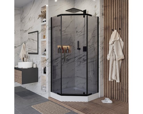 Душевой уголок Niagara Eco 100х100 NG-010-14DT профиль Черный стекло тонированное