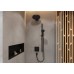 Верхний душ Hansgrohe Pulsify S 260 1jet Черный матовый
