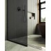 Душевая перегородка Maybah Glass 1090x1950 в узком профиле Черный стекло графитовое матовое