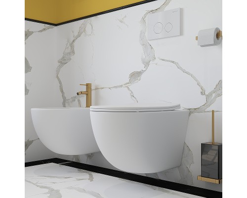 Унитаз Aqueduto Ovo OVO0120 подвесной Белый матовый с сиденьем Микролифт