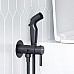 Гигиенический душ со смесителем Damixa Option 211000300 Черный матовый
