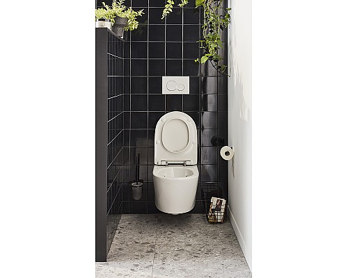 Унитаз Jacob Delafon Bastille EDAB102-00 подвесной без сиденья