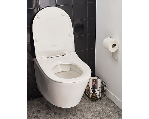 Унитаз Jacob Delafon Bastille EDAB102-00 подвесной без сиденья