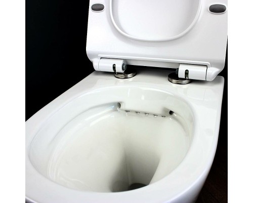 Унитаз Maretti Elena EA10PBM88-844 подвесной с сиденьем Микролифт