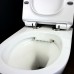 Унитаз Maretti Elena EA10PBM88-844 подвесной с сиденьем Микролифт