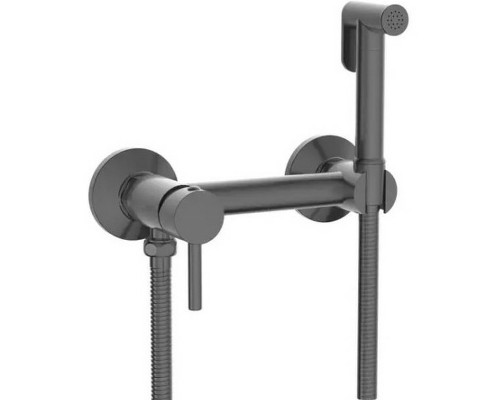 Гигиенический душ со смесителем RGW Shower Panels SP-215-Gr 581408215-11 Серый брашированный