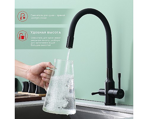 Смеситель для кухни Raglo R81.64.06 Черный матовый