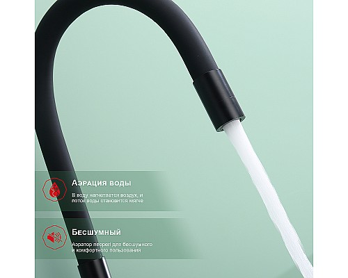 Смеситель для кухни Raglo R81.64.06 Черный матовый