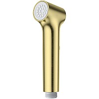 Гигиенический душ Raglo R460.05.03 Золото матовое