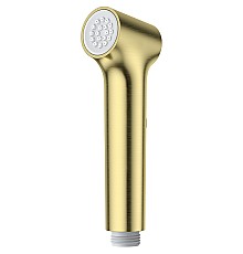 Гигиенический душ Raglo R460.05.03 Золото матовое