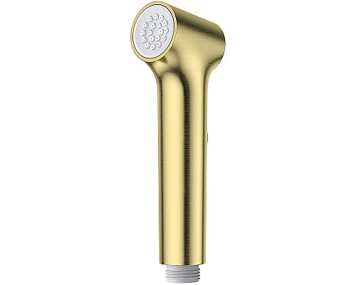 Гигиенический душ Raglo R460.05.03 Золото матовое