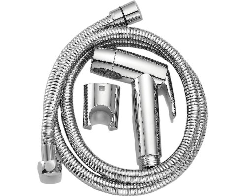 Гигиенический душ Raglo R460.50 Хром