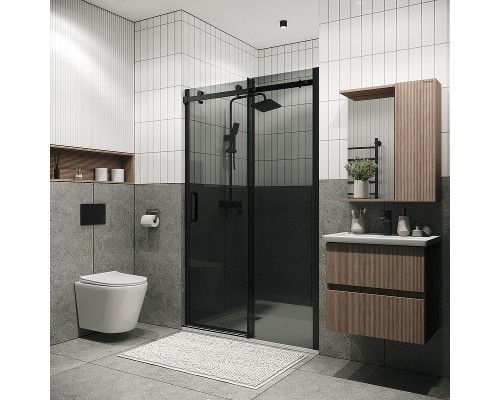 Душевая дверь Grossman Classic 100 100.K33.04.100.21.10 профиль Черный матовый стекло тонированное